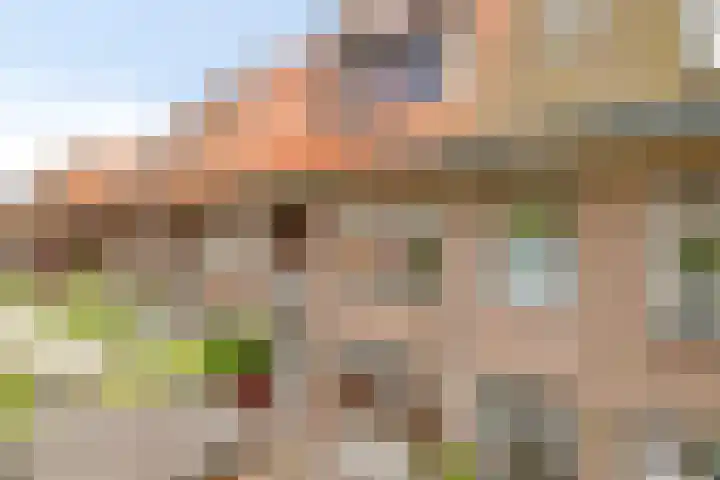 De Sitterlaan 78 Leiden thumbnail 4