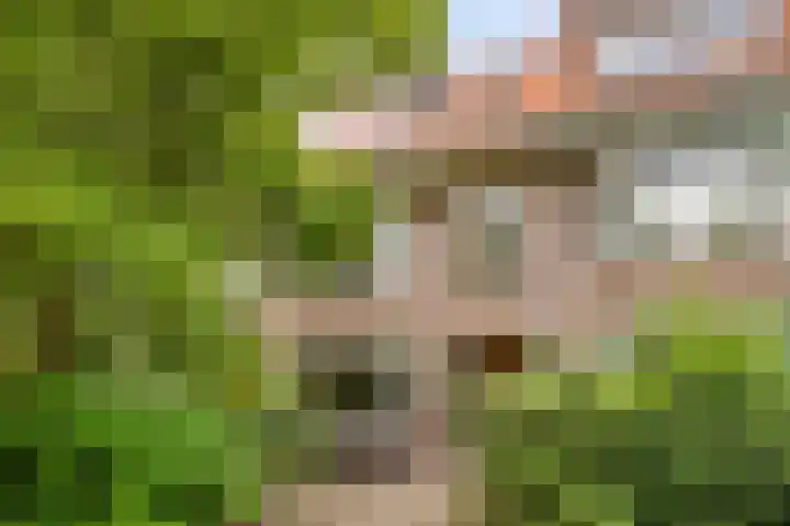De Sitterlaan 78 Leiden thumbnail 44
