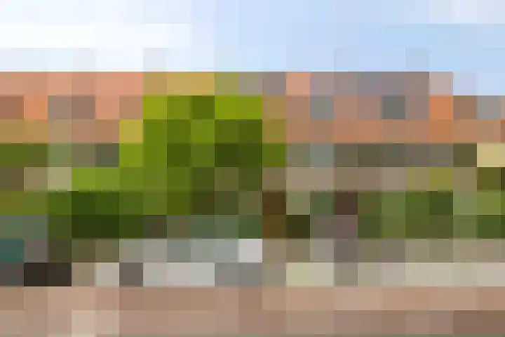 De Sitterlaan 78 Leiden thumbnail 6
