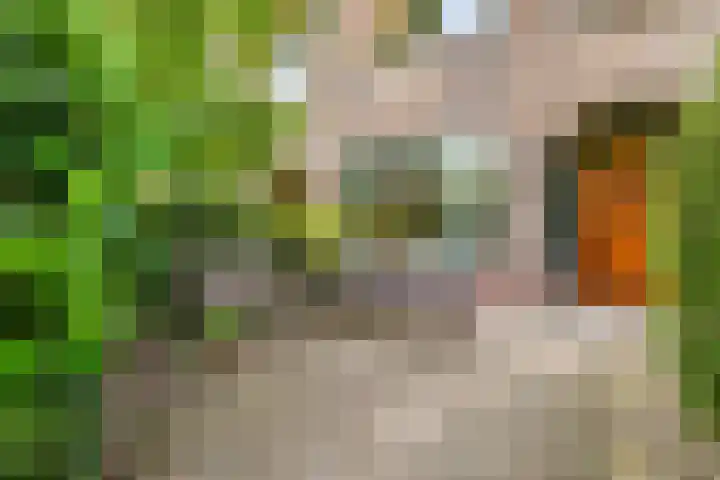 De Sitterlaan 78 Leiden thumbnail 7