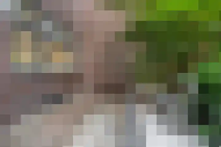 De Sitterlaan 87 Leiden thumbnail 22
