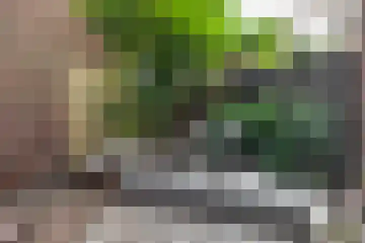 De Sitterlaan 87 Leiden thumbnail 23