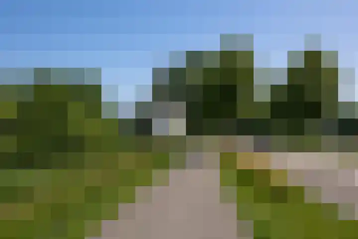 De Sitterlaan 87 Leiden thumbnail 26