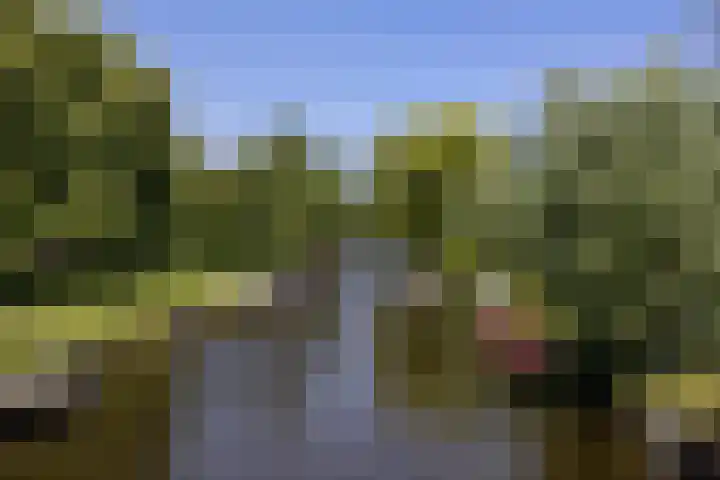 De Sitterlaan 87 Leiden thumbnail 27