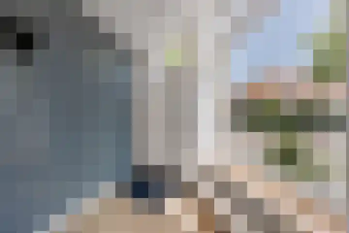 De Sitterlaan 87 Leiden thumbnail 5
