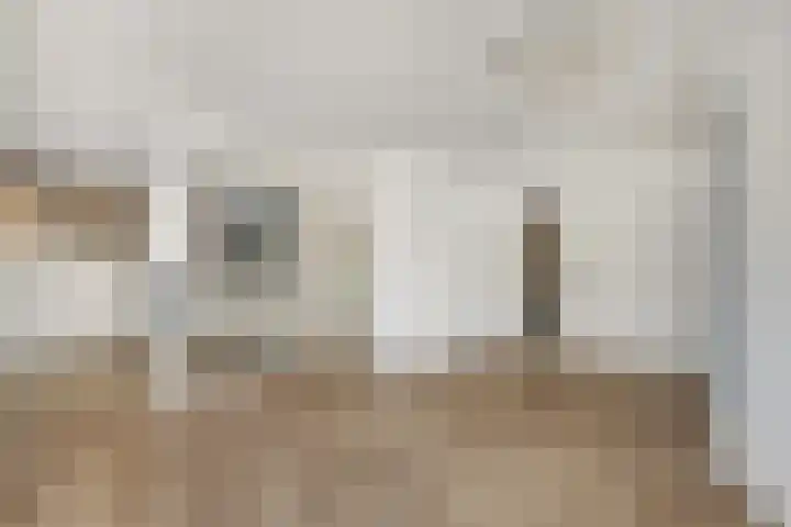 De Sitterlaan 87 Leiden thumbnail 6