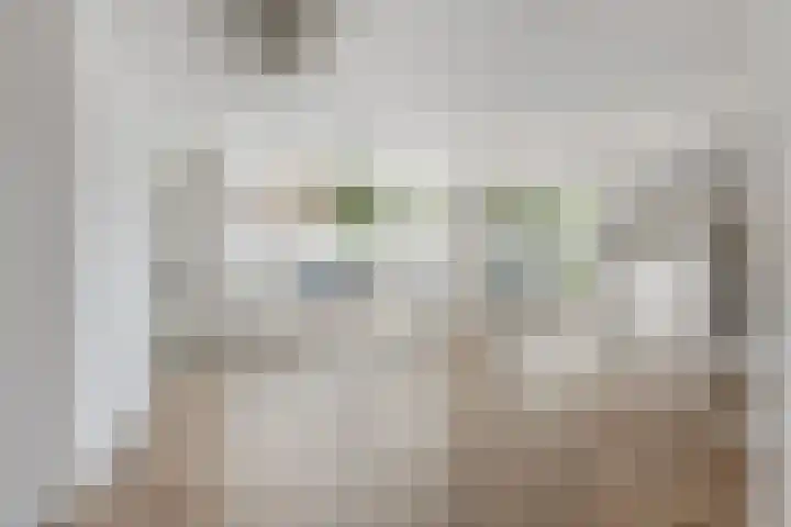 De Sitterlaan 87 Leiden thumbnail 7