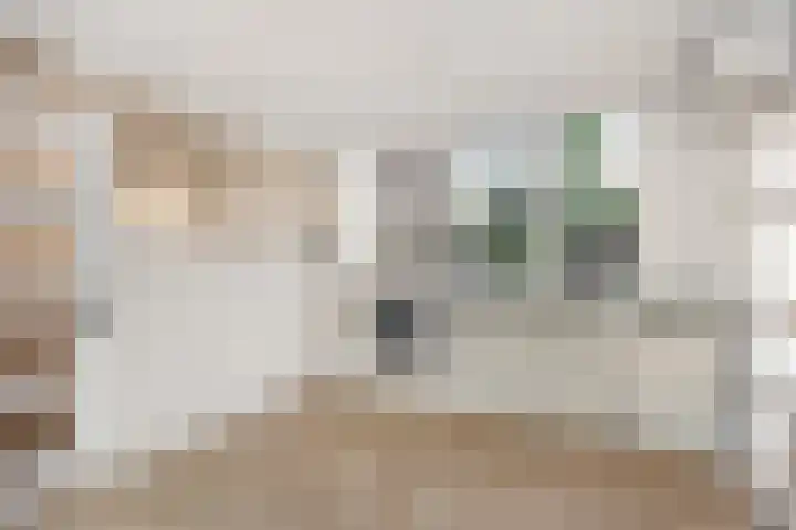 De Sitterlaan 87 Leiden thumbnail 9