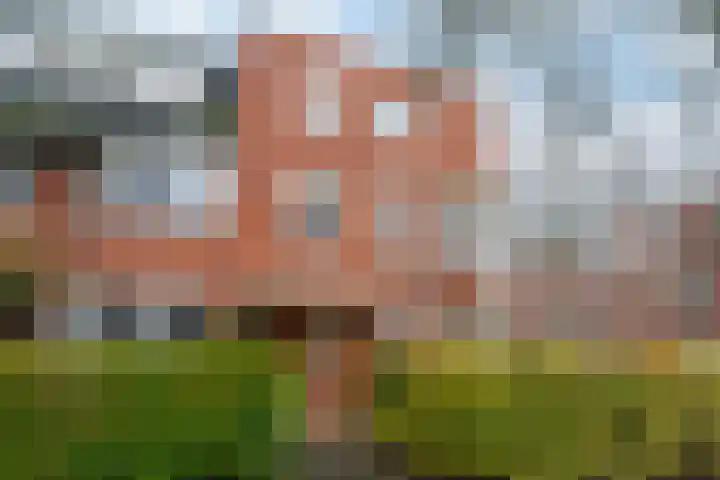 De Sitterstraat 11 a Groningen thumbnail 9