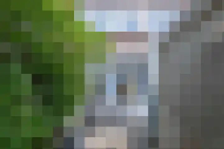 De Sitterstraat 7 Groningen thumbnail 25