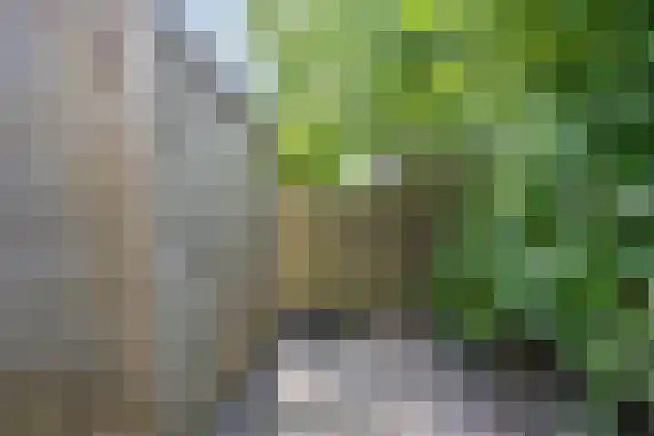 De Sitterstraat 7 Groningen thumbnail 26