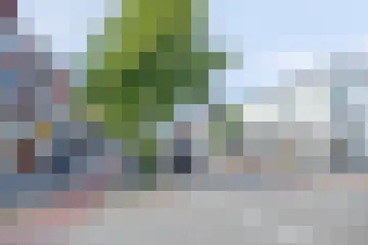 De Sitterstraat 7 Groningen thumbnail 4