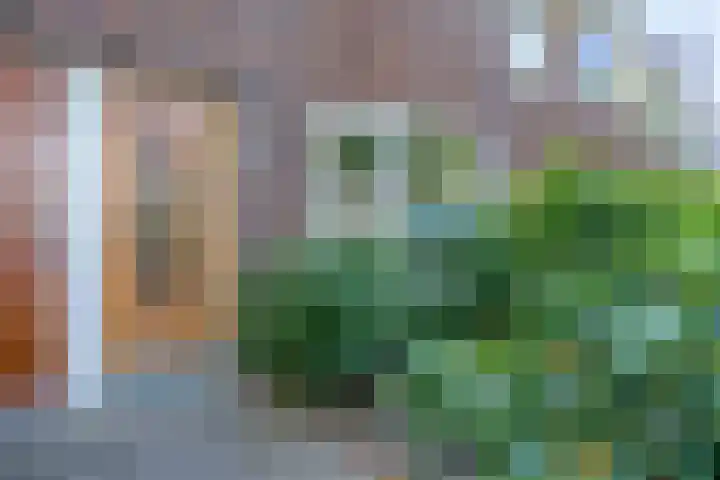 De Sitterstraat 7 Groningen thumbnail 7