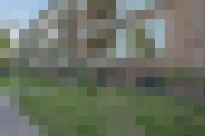 De Sitterweg 20 Haren Gn thumbnail 11
