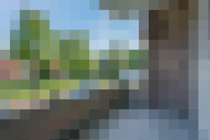 De Sitterweg 20 Haren Gn thumbnail 20