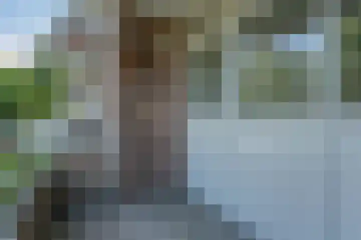 De Sitterweg 20 Haren Gn thumbnail 21