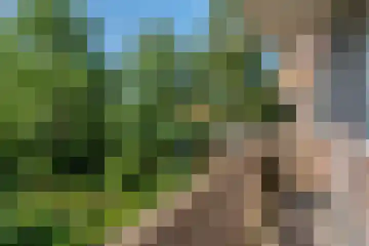 De Sitterweg 20 Haren Gn thumbnail 34