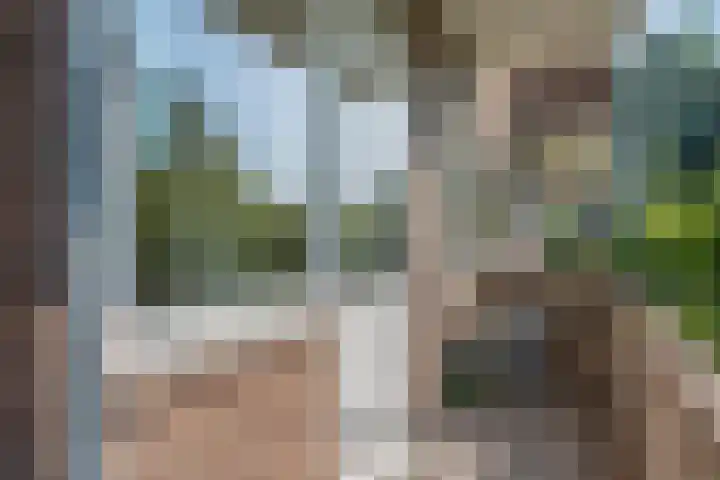 De Sitterweg 20 Haren Gn thumbnail 35