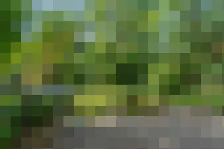 De Sitterweg 20 Haren Gn thumbnail 37