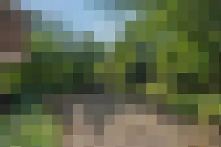 De Sitterweg 20 Haren Gn thumbnail 4