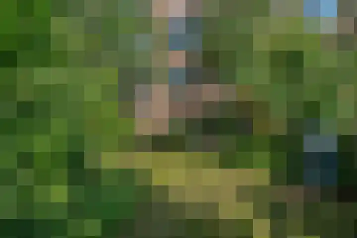 De Sitterweg 20 Haren Gn thumbnail 40