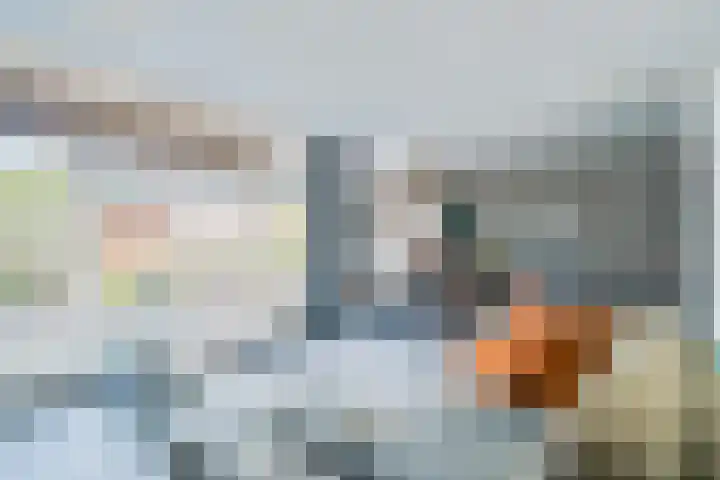 De Sjees 36 Biddinghuizen thumbnail 12