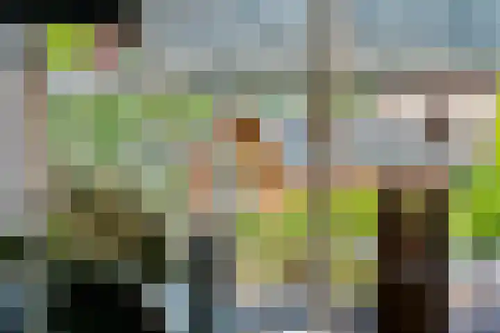 De Sjees 36 Biddinghuizen thumbnail 14