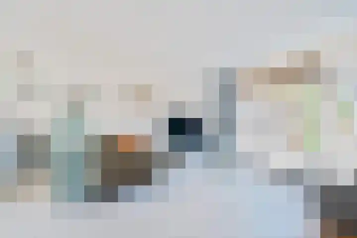 De Sjees 36 Biddinghuizen thumbnail 15