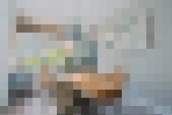 De Sjees 36 Biddinghuizen thumbnail 18