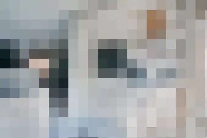 De Sjees 36 Biddinghuizen thumbnail 22