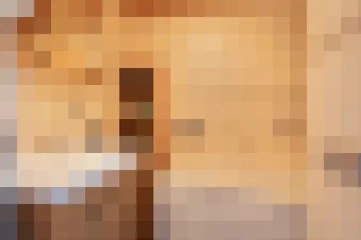 De Sjees 36 Biddinghuizen thumbnail 25