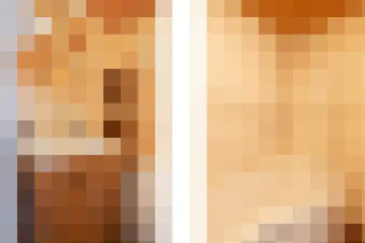 De Sjees 36 Biddinghuizen thumbnail 26