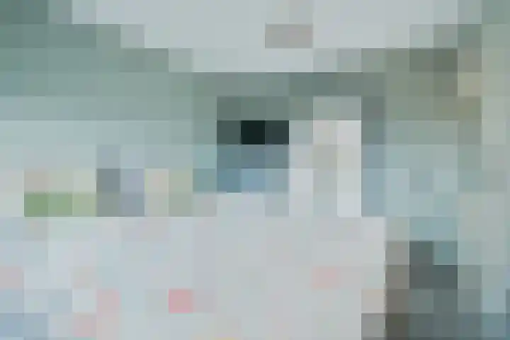 De Sjees 36 Biddinghuizen thumbnail 30
