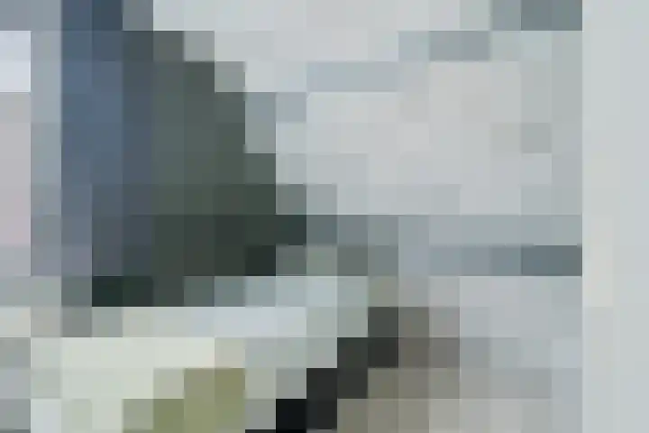 De Sjees 36 Biddinghuizen thumbnail 35