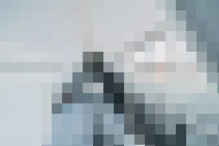 De Sjees 36 Biddinghuizen thumbnail 38