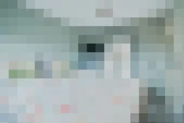 De Sjees 36 Biddinghuizen thumbnail 4