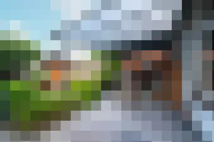 De Sjees 36 Biddinghuizen thumbnail 41