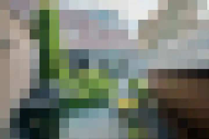 De Sjees 36 Biddinghuizen thumbnail 42