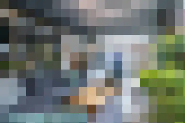 De Sjees 36 Biddinghuizen thumbnail 44