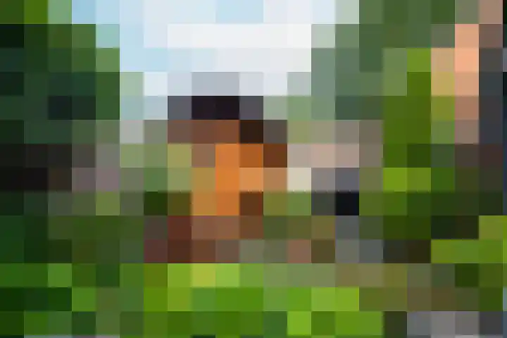 De Sjees 36 Biddinghuizen thumbnail 45