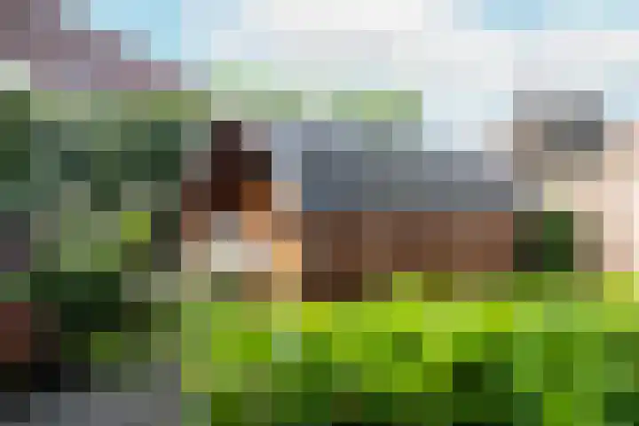 De Sjees 36 Biddinghuizen thumbnail 46