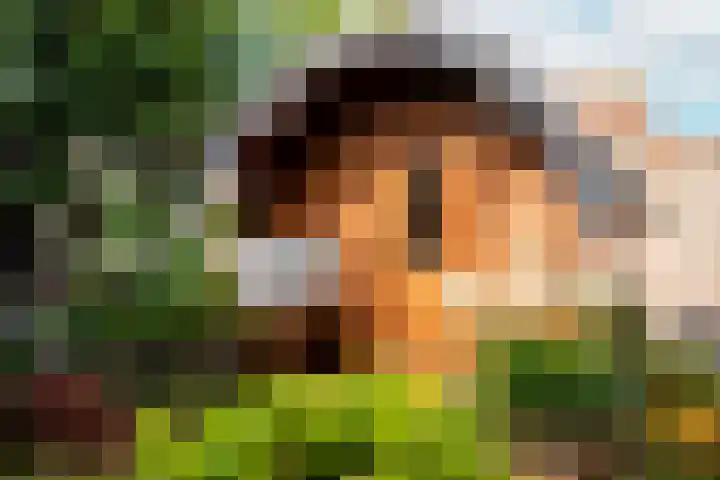 De Sjees 36 Biddinghuizen thumbnail 47