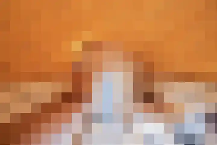 De Sjees 36 Biddinghuizen thumbnail 48