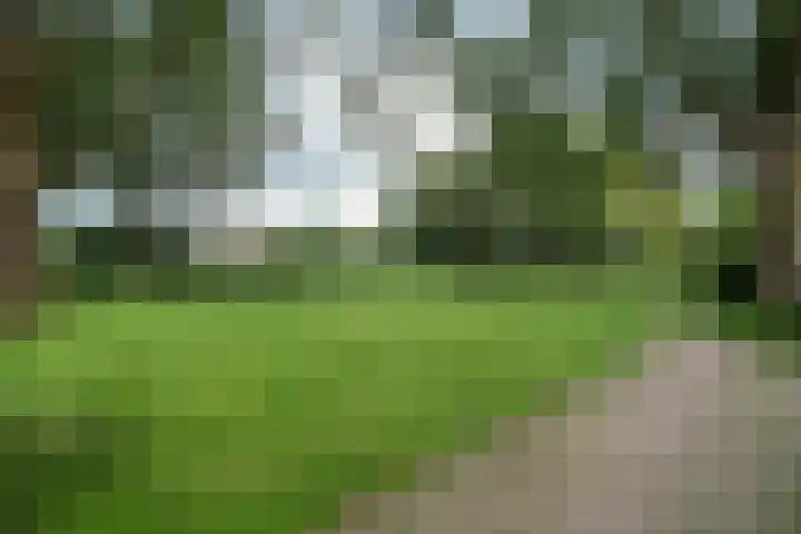 De Sjees 36 Biddinghuizen thumbnail 49