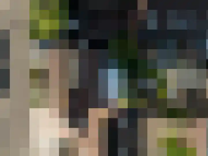 De Sjees 36 Biddinghuizen thumbnail 51