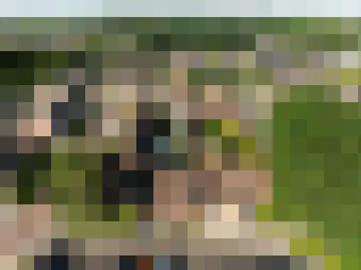 De Sjees 36 Biddinghuizen thumbnail 52