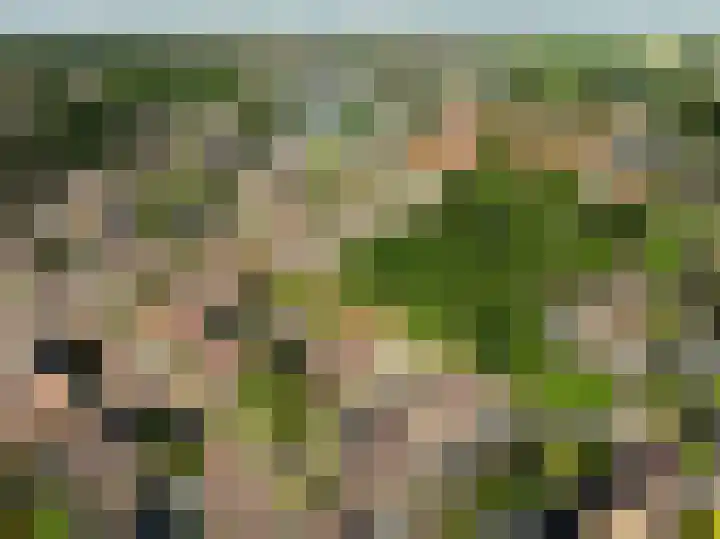 De Sjees 36 Biddinghuizen thumbnail 53