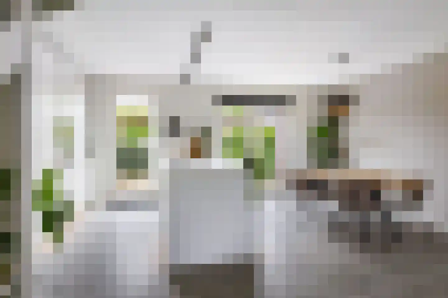 De Skâns 20 Leeuwarden thumbnail 15