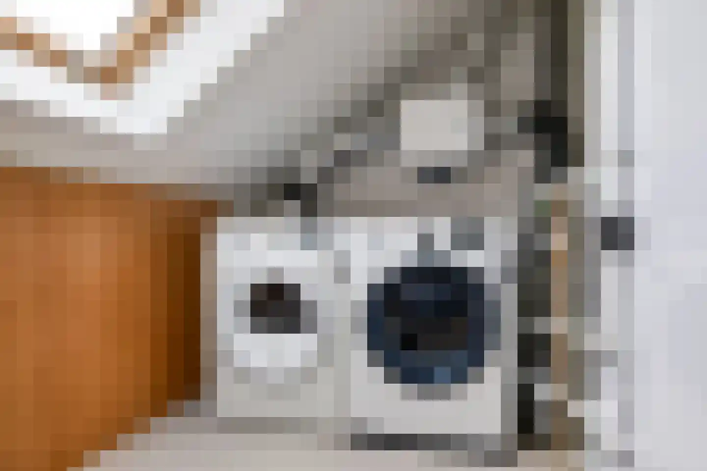 De Skâns 20 Leeuwarden thumbnail 33