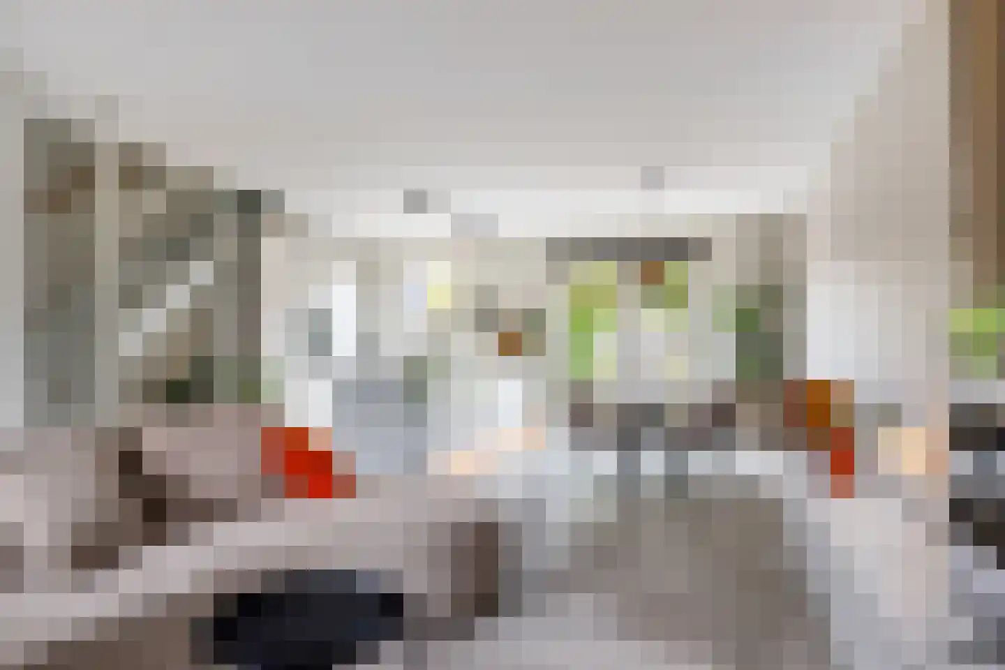 De Skâns 20 Leeuwarden thumbnail 4